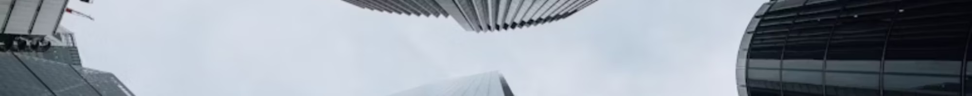 Bridge Consulting